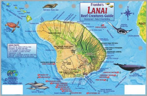 Guide to Lanai, Reef Creatures Map & Identification Card by Frankos Maps Ltd.