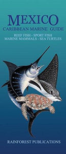 Mexico Carribbean Marine Guide: Reef Fish, Sport Fish, Marine Mammals, Sea Turtles by Rainforest Publications