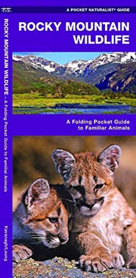 Cover of Rocky-Mountain-Wildlife-A-Folding-Pocket-Guide-to-Familiar-Animals-