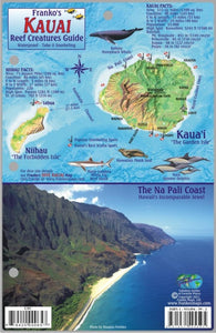 Kauai Reef Creatures Map & Identification Card by Frankos Maps Ltd.
