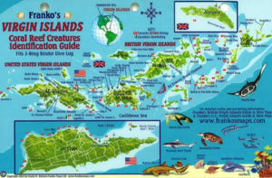 Caribbean, Virgin Islands Reef Creatures Map & Identification Card by Frankos Maps Ltd.