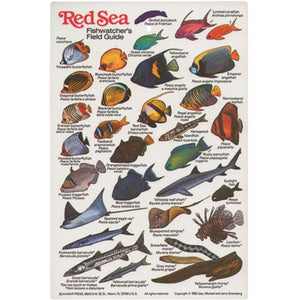 Red Sea: Fishwatcher's Field Guide by Seahawk Press