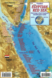 Egyptian Red Sea Mini map and Reef Creatures Map & Identification Guide by Frankos Maps Ltd.