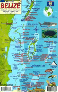 Caribbean, Belize Map & Fish Card by Frankos Maps Ltd.
