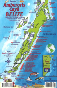 Caribbean, Ambergris Caye, Belize Map & Fish Card by Frankos Maps Ltd.