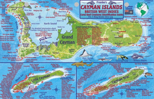 Caribbean, Cayman Islands Map & Fish Card  by Frankos Maps Ltd.