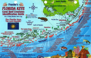 Florida Keys Map & Fish Card by Frankos Maps Ltd.