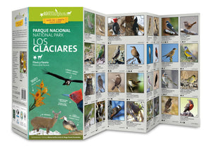 Los Glaciares Field Guide (Flora & Fauna) by 49southphoto