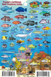 Caribbean Mini Map & Fish Card by Frankos Maps Ltd.