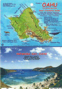 Oahu, The Gathering Place, Reef Creatures Map & Identification Guide by Frankos Maps Ltd.