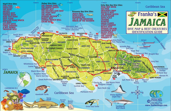 Cover of Franko's Jamaica Dive Reef Creatures Map & Identification Guide