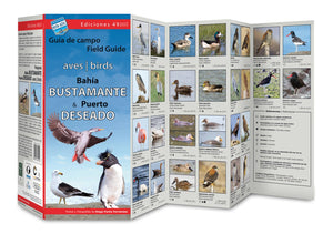 Bahia Bustamante & Puerto Deseado Field Guide (Birds) by 49southphoto