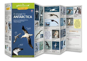 A Voyage to Antartica Field Guide (Wildlife) by 49southphoto
