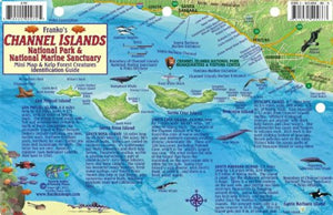 California Map & Fish Card, Channel Islands by Frankos Maps Ltd.