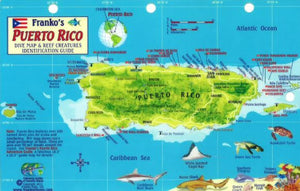 Caribbean, Puerto Rico Map & Fish Card  by Frankos Maps Ltd.