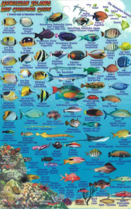 Hawaiian Islands, Reef Creatures Map & Fish Card, by Frankos Maps Ltd.