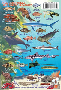 California, Kelp Forest Creatures Map & Fish Card by Frankos Maps Ltd.