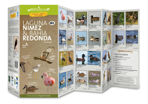 Laguna Nimez & Bahia Redonda (Birds) by 49southphoto