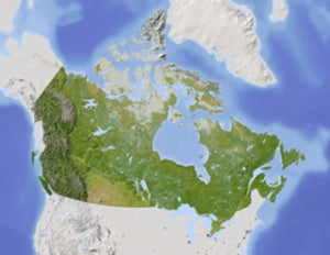 Canada Shaded Relief Wall Map by Arid Ocean