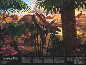 Dawn on the Delta Map 1993