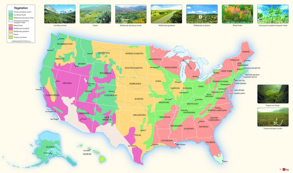 USA Vegetation Wall Map Maps.com