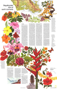 Hawaii: Beguiling Isles Map 1976 by National Geographic