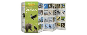 Southeast Alaska (Fauna) Wildlife Guide by 49southphoto