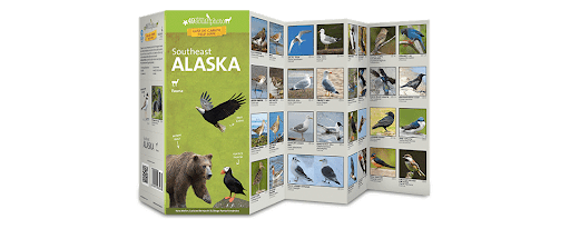 Cover of Southeast-Alaska-(Fauna)-Field-Guide-