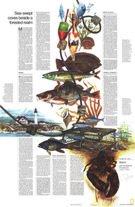Maine Map 1975: Sea-swept Coves Beside a Forested Realm