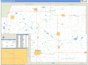 Montcalm County, Michigan Zip Code Wall Map