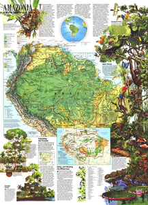 Amazonia, A World Resource At Risk Map 1992