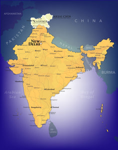India Wall Map