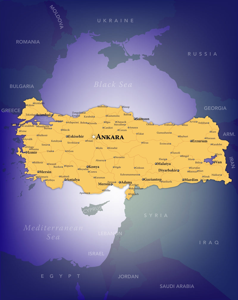 Turkey Wall Map Maps.com