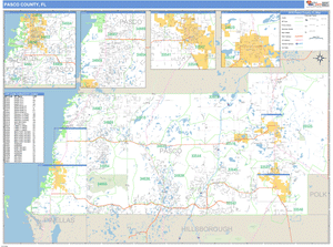 Pasco County, Florida Zip Code Wall Map