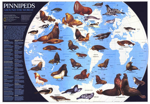 Pinnipeds Around The World Map 1987