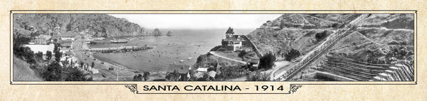 Historic Panorama of Santa Catalina, CA, 1914 Surf to Summitt