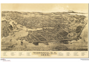 Victoria Antique Wall Map